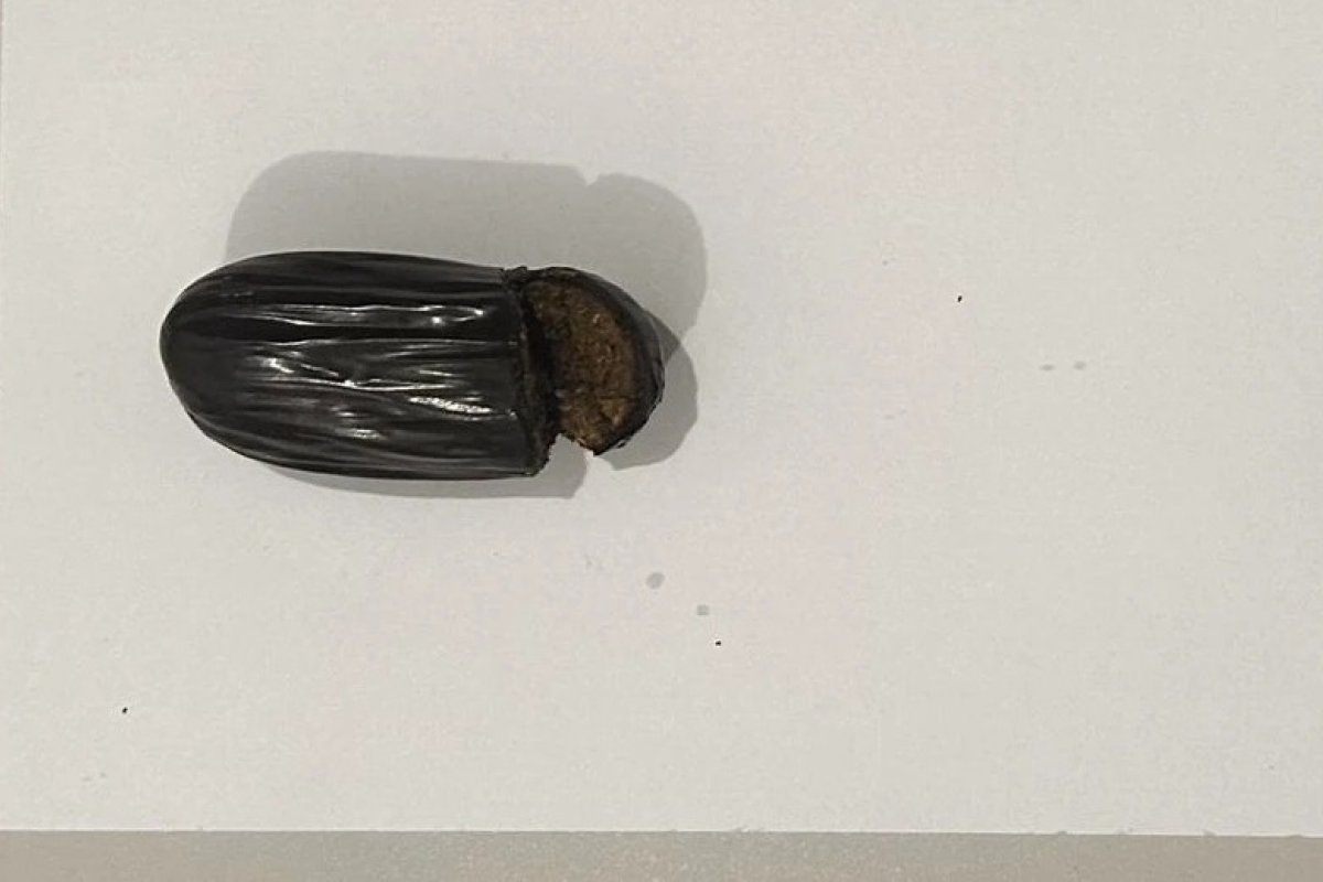 Mulher é presa ao tentar entrar com drogas nas partes íntimas em presídio na Bahia