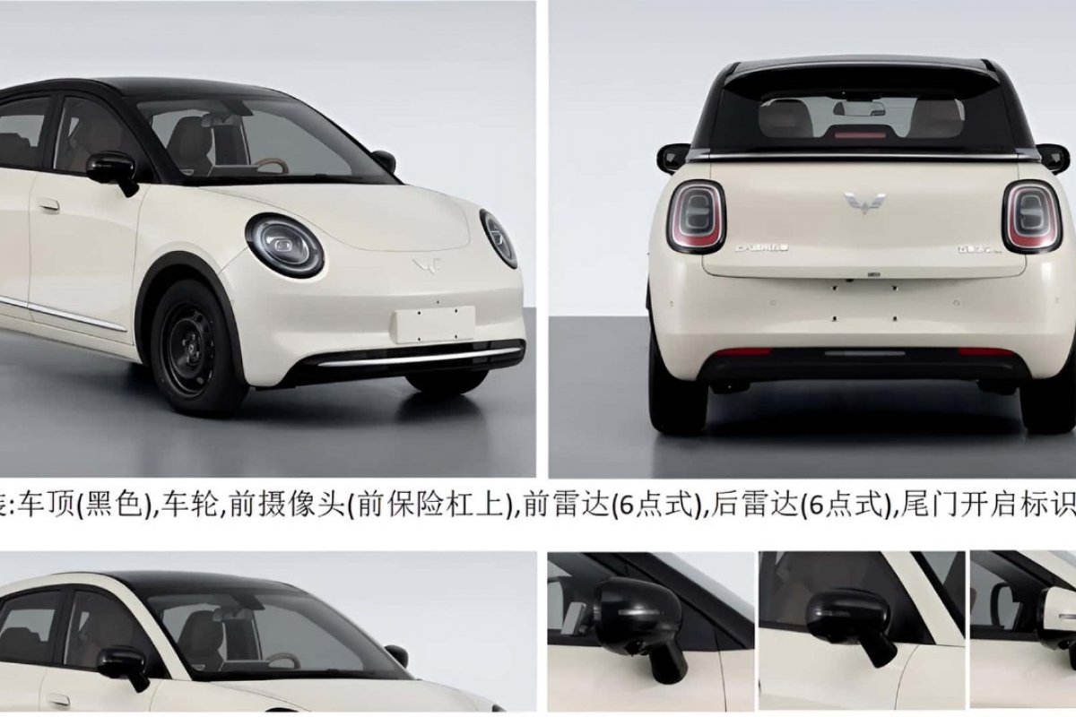 Gelly EX2 e BYD Dolphin terão novo concorrente barato na China