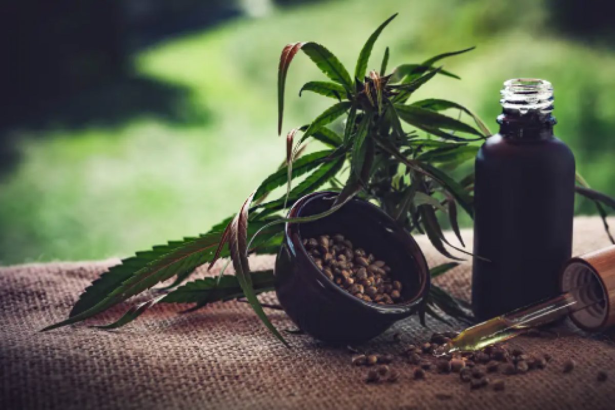 Anvisa avalia Cannabis medicinal dermatológica e importação da planta
