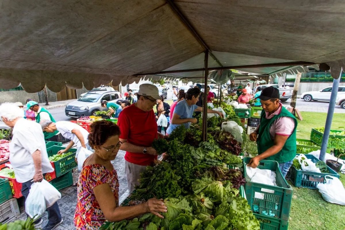 Feira de Sustentabilidade e Agroecologia acontece no Parque da Cidade neste sábado (13) 