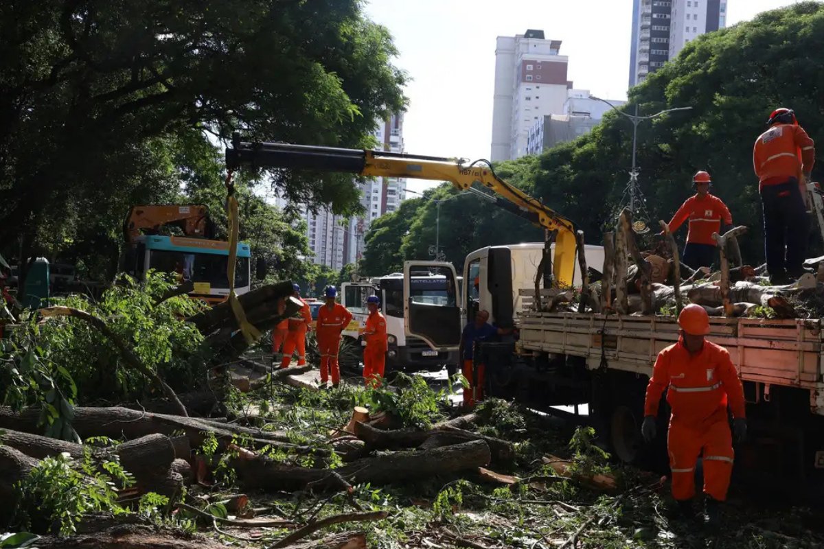 Três dias após ciclone, São Paulo ainda tem mais de 500 mil imóveis sem energia