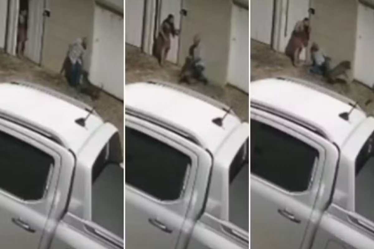 Idoso de 83 anos fica gravemente ferido após ataque de pitbull em Palmas
