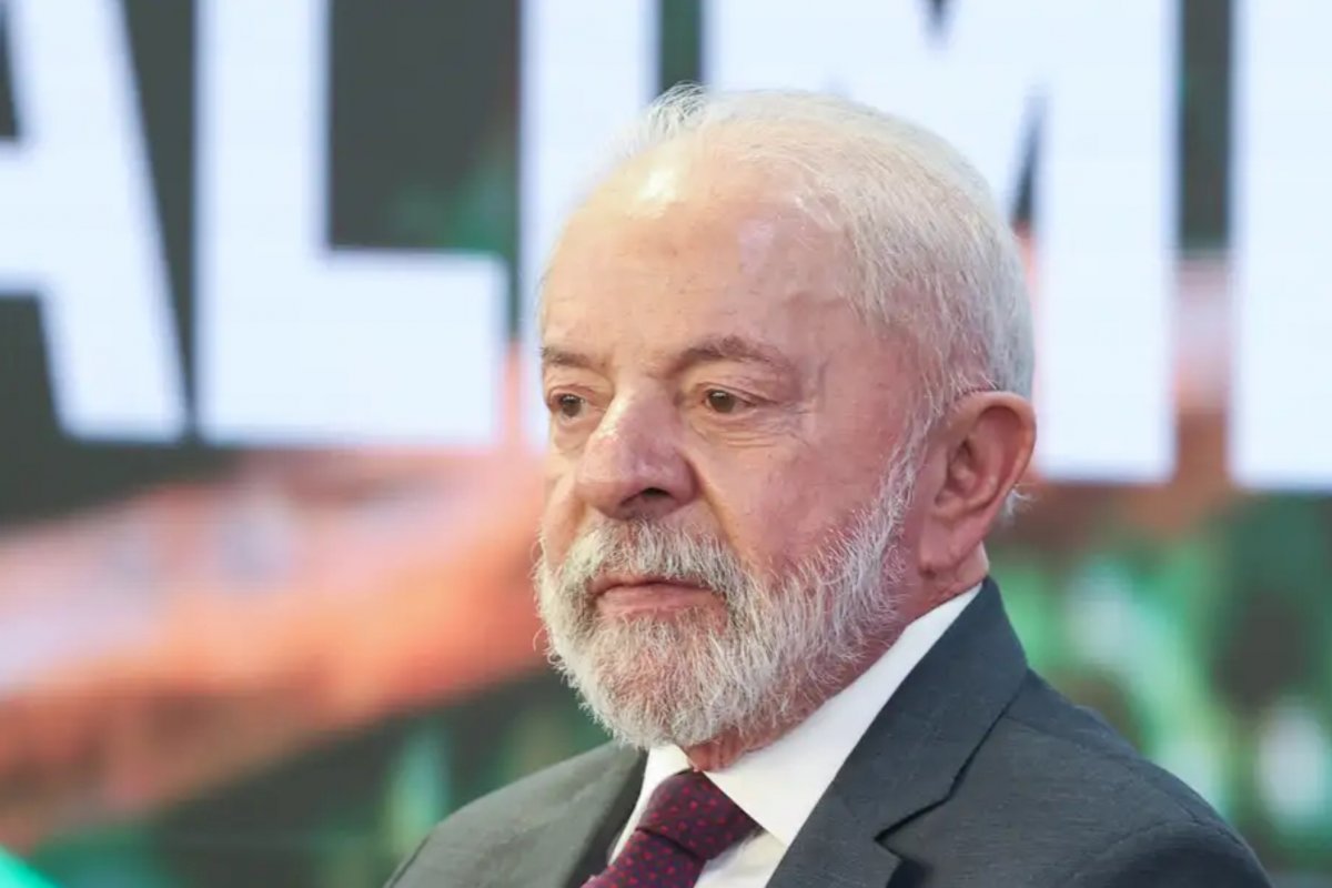 Lula sanciona lei que libera poda ou remoção de árvores que apresentem riscos de acidentes; entenda