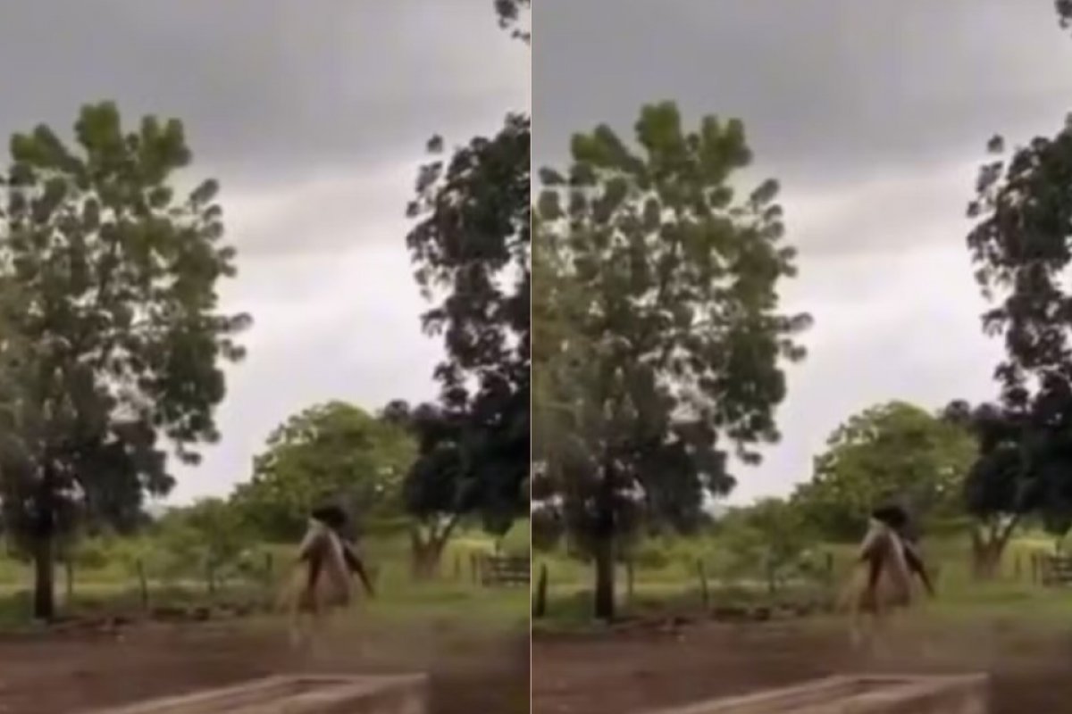 Vídeo: homem e cavalo escapam de serem atingido por raio após o animal recuar