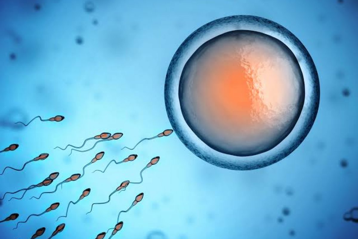 Sono, rotina e fertilidade: por que a ciência passou a olhar o casal como uma unidade biológica! 