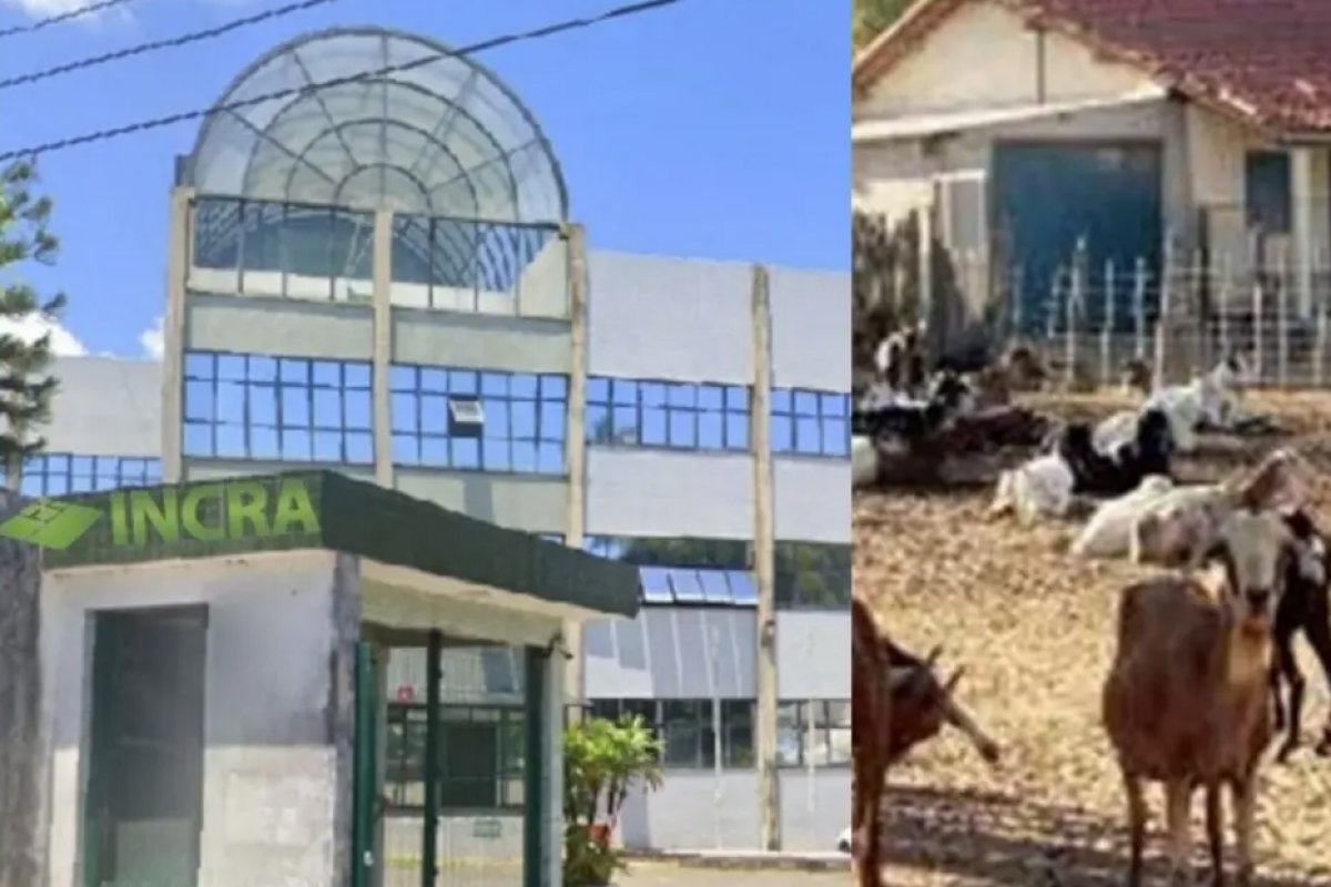 Incra reconhece comunidade de Uauá como projeto de assentamento na Bahia 