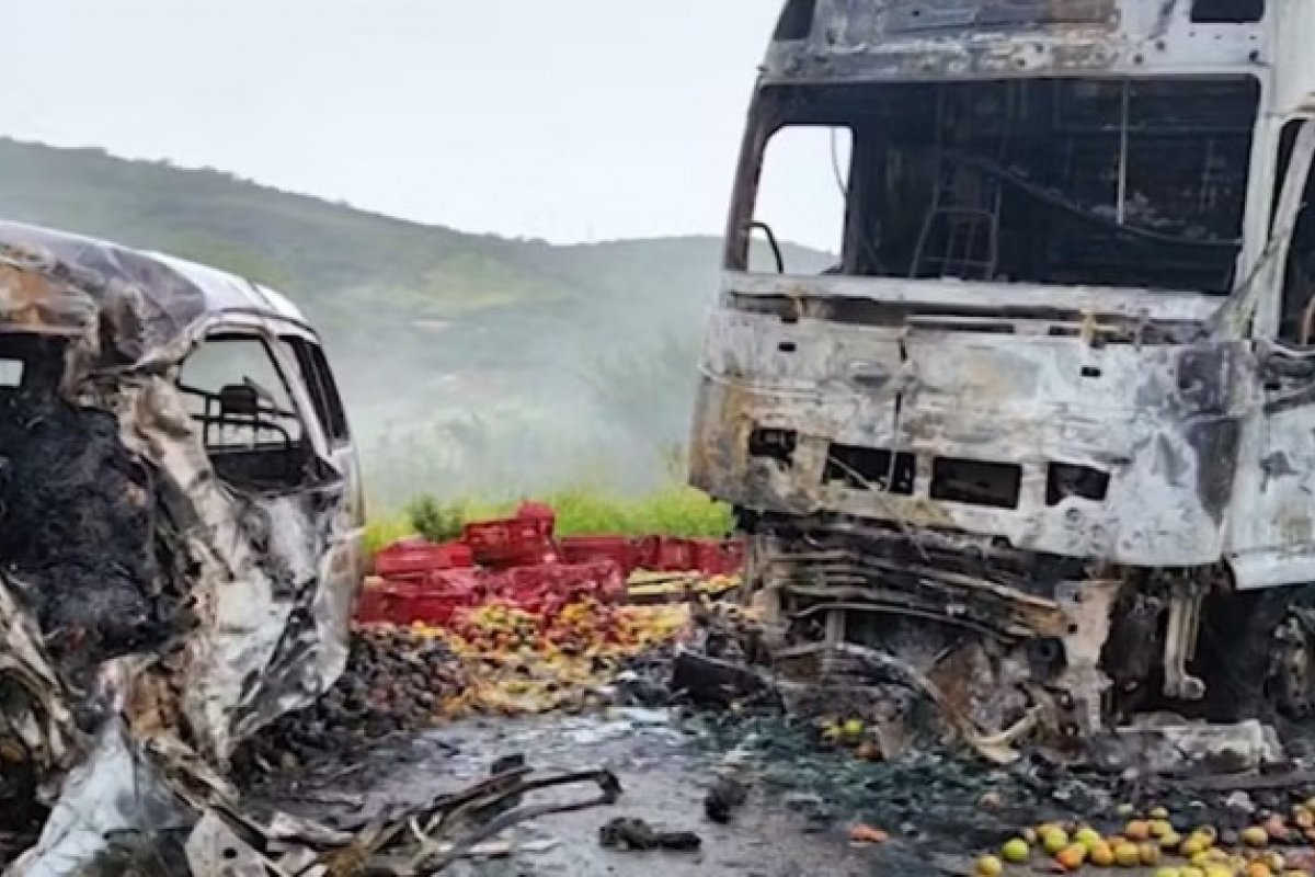 Batida entre caminhão e van deixa dois primos mortos na BA-262