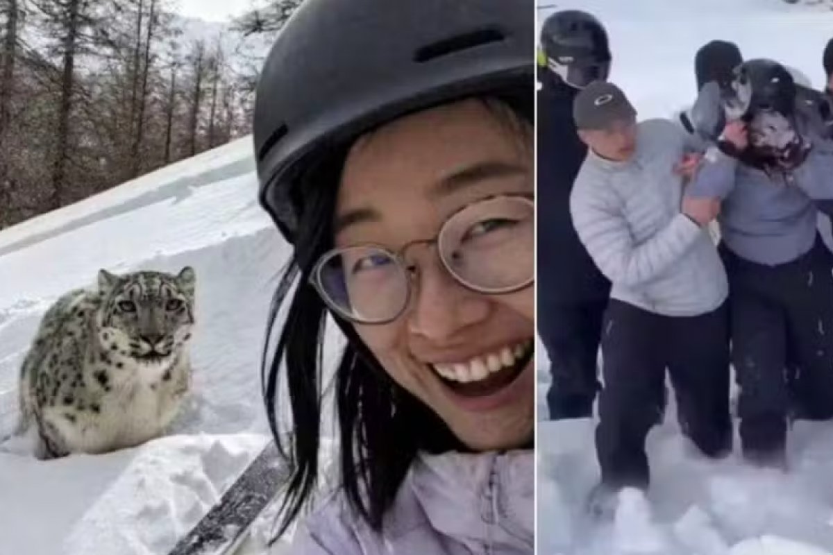 Turista é atacada por leopardo-da-neve após ignorar aviso de autoridades