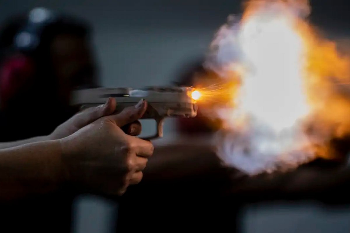  Nenhum estado tem nível alto de transparência sobre armas no país, diz estudo