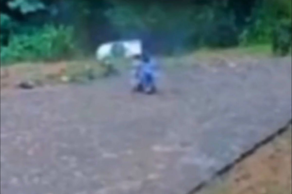 Vídeo: reação do pai que viu filhos soltarem freio de mão de carro no Paraná comove internautas 