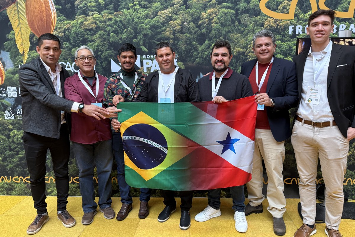 Brasil busca protagonismo no mercado internacional de cacau e chocolate!   