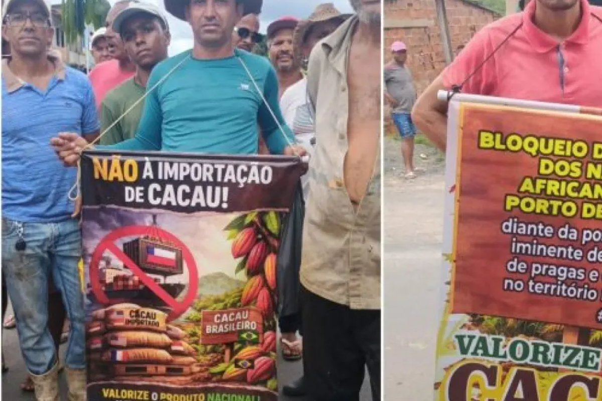 Governo federal suspende importações de amêndoas de cacau da Costa do Marfim 