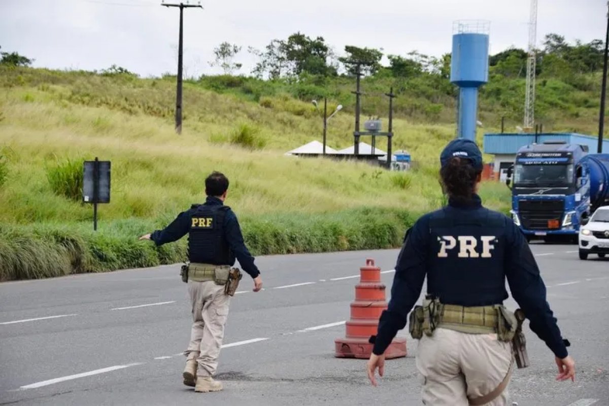Acidentes com animais crescem nas rodovias baianas em dois anos, diz PRF