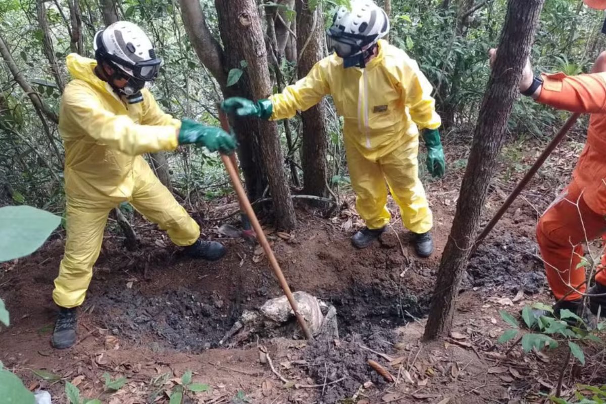 Restos mortais de possíveis vítimas do 'tribunal do crime' são encontrados em interior da Bahia 