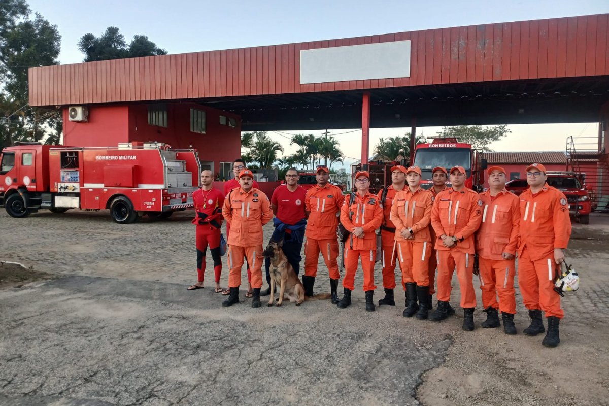 Cão farejador do Corpo de Bombeiros integra buscas por mulher desaparecida após enxurrada na Bahia 