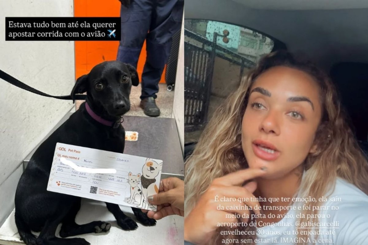 Operações do Aeroporto de Congonhas são suspensas após cadela escapar e invadir pista 