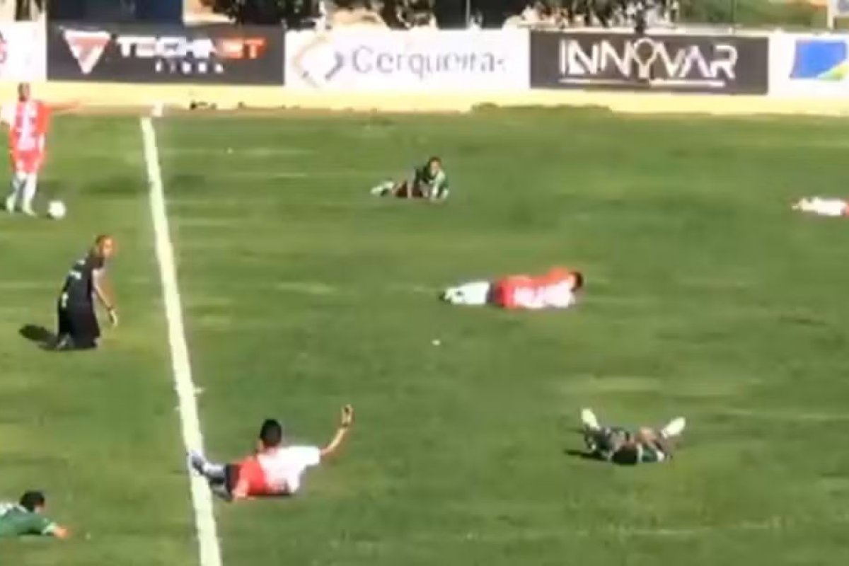 Jogadores deitam no gramado e partida de futebol é interrompida após ataque de insetos