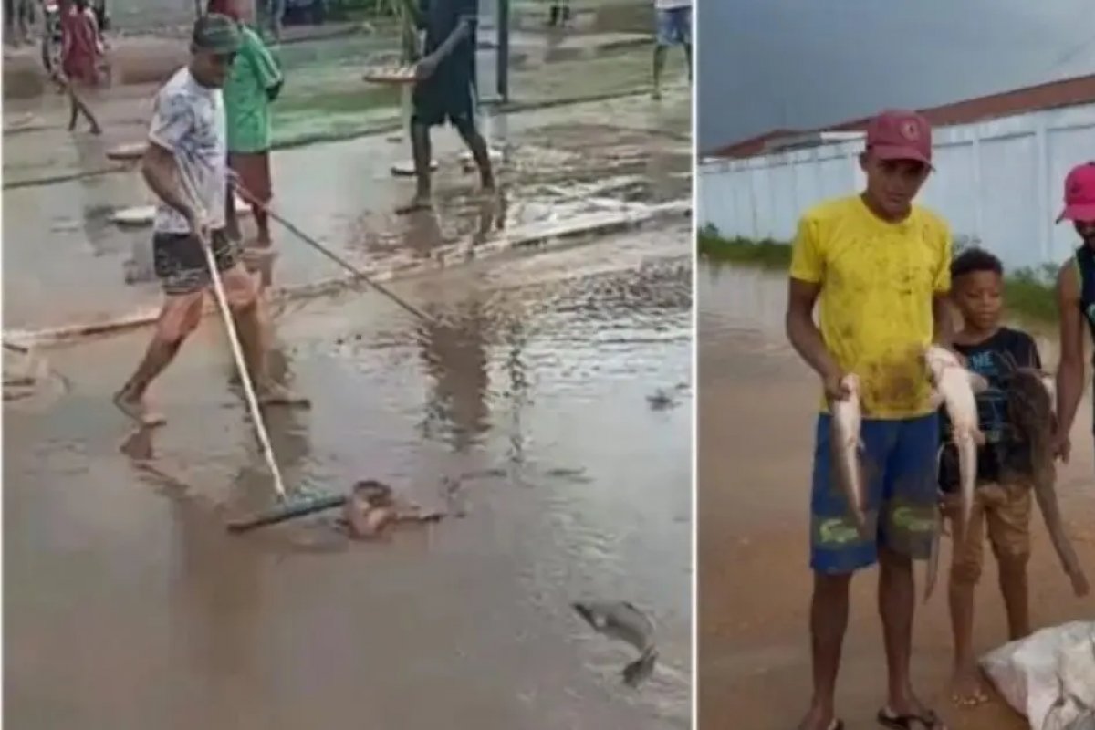 Vídeo: moradores de Ipiaú encontram dezenas de peixes nas ruas após fortes chuvas