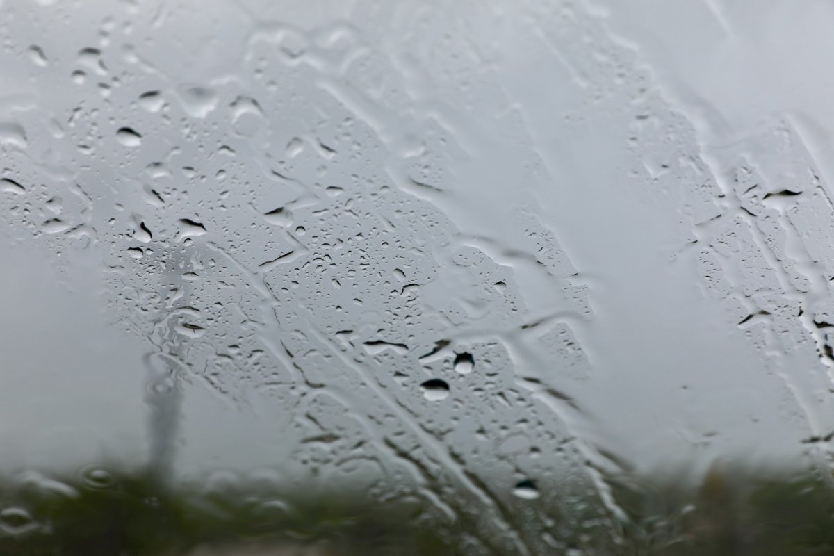 Bahia tem mais de 130 cidades em alerta para chuvas intensas e risco de alagamentos