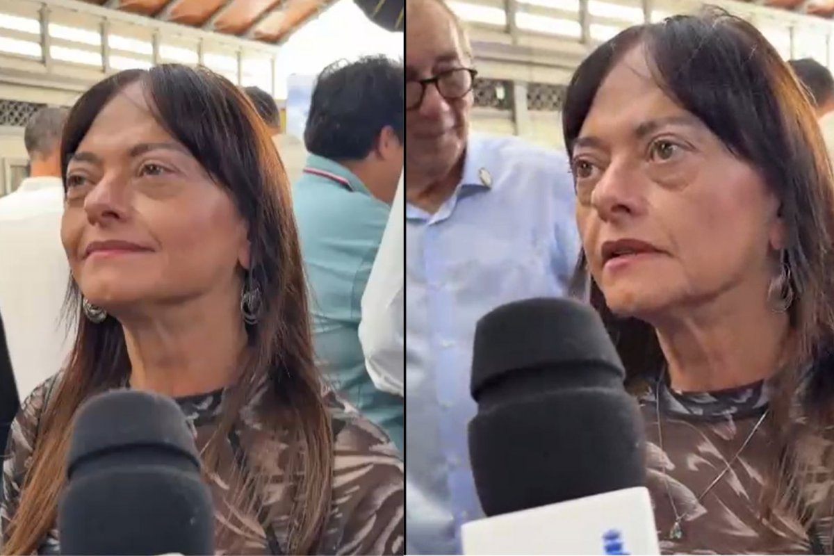Câmara dos Deputados pretende tratar o feminicídio como epidemia, diz Alice Portugal