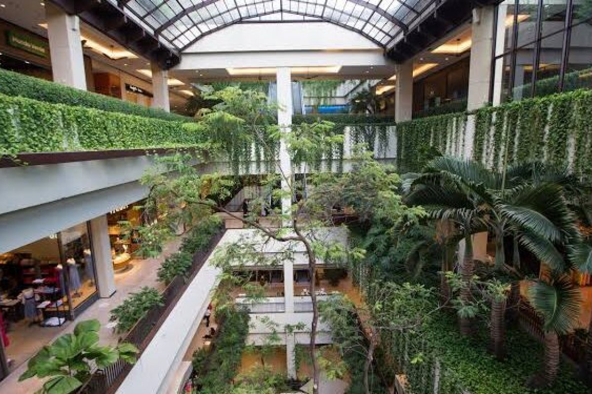 Shopping de São Paulo anuncia a chegada de marcas inéditas na América Latina!       