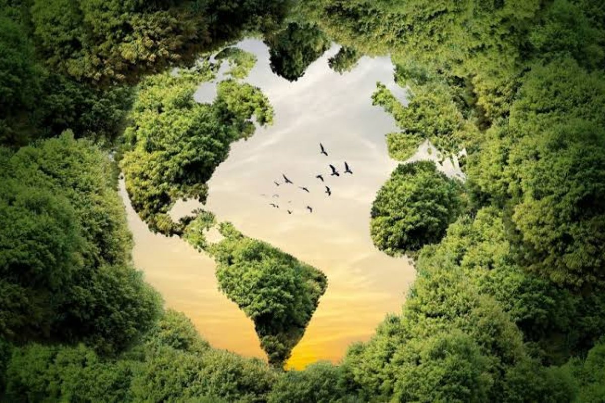 Brasil leva solução climática ao centro do debate global! 
