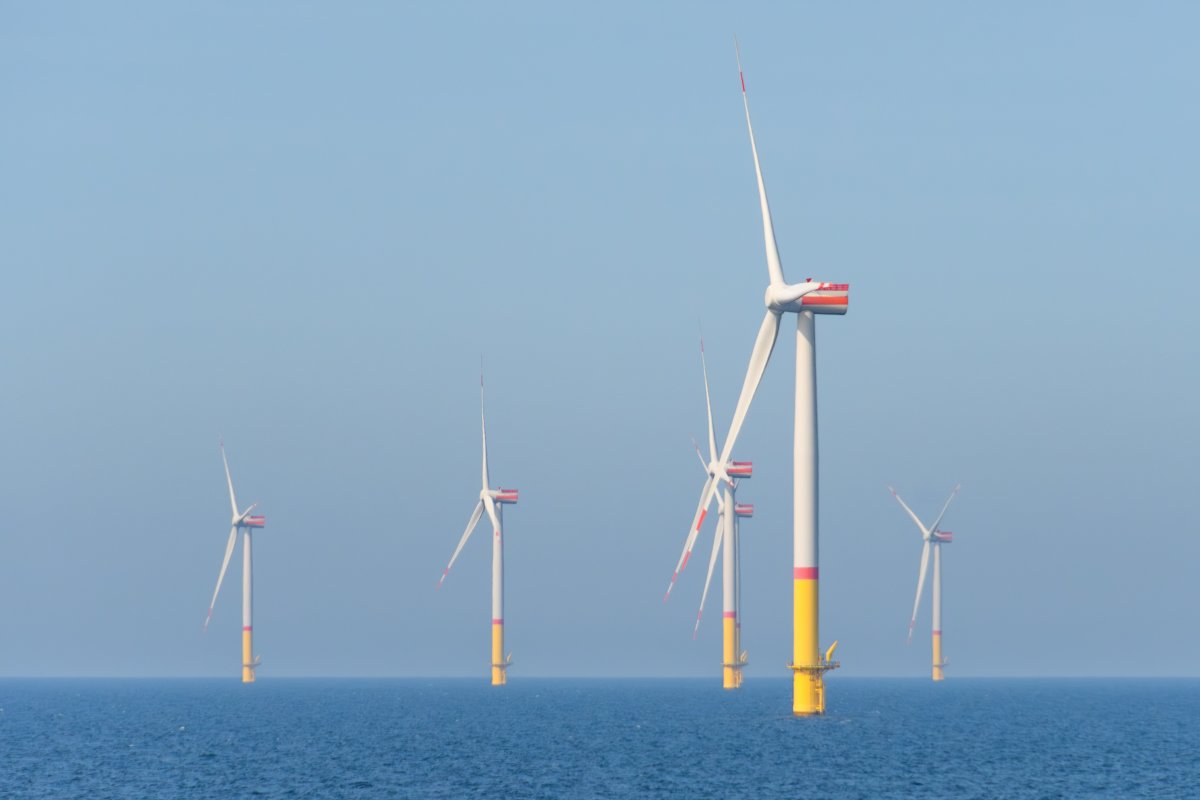 Recuo de Trump com energia eólica gerada no mar é oportunidade para Brasil, diz associação