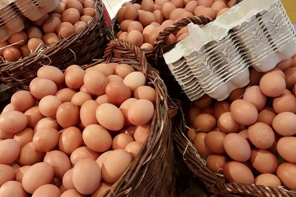 Alta na oferta de ovos pressiona preços e desacelera vendas no país