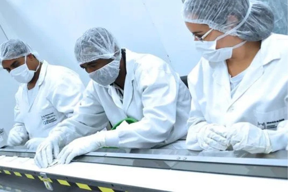 Fiocruz abre 166 vagas de estágio com bolsas de até R$ 2,231