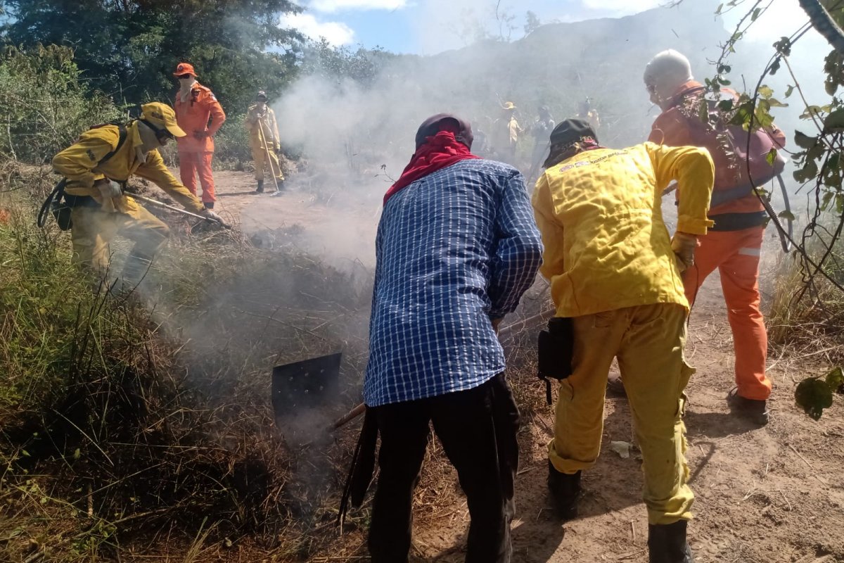 Deputado sugere que Brigadas Voluntárias sejam reconhecidas e regulamentadas pela Bahia