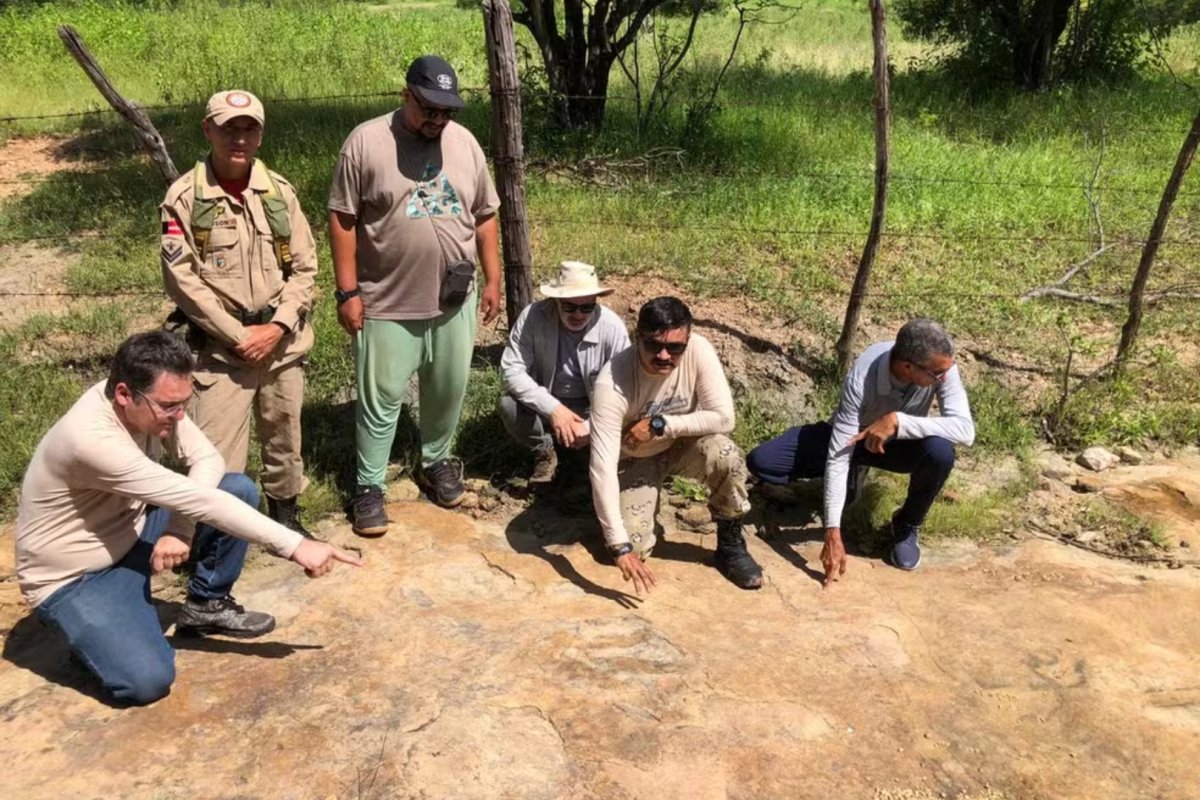 Cientistas encontram pegada gigante de dinossauro carnívoro na Paraíba