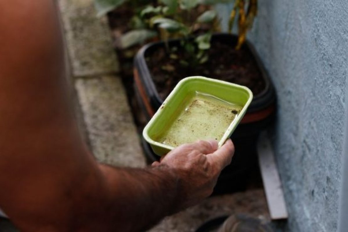 Bahia tem queda de 41% em casos de dengue 