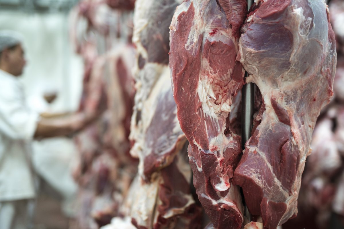 União Europeia barra exportações de carne bovina do Brasil a partir de setembro