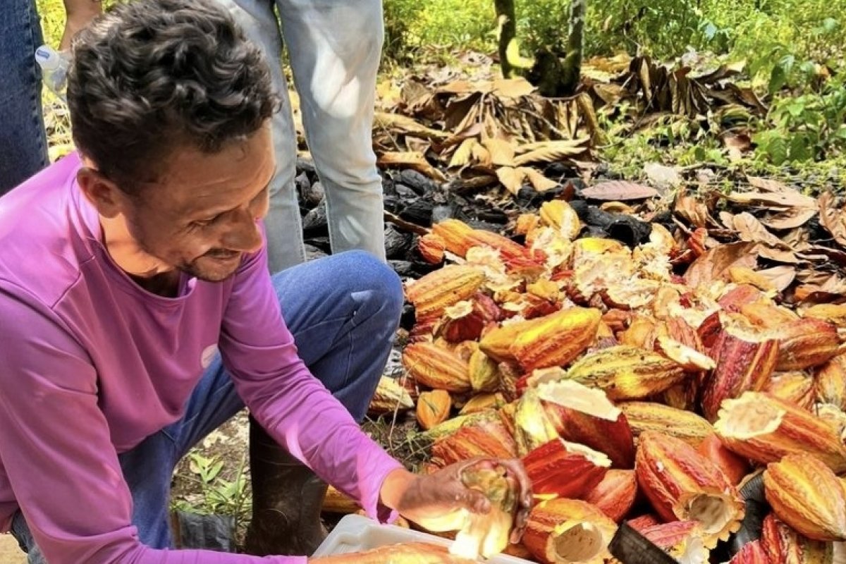 Negócios da sociobioeconomia movimentam mais R$ 100 milhões e ajudam a conservar 2,5 milhões de hectares no Brasil!