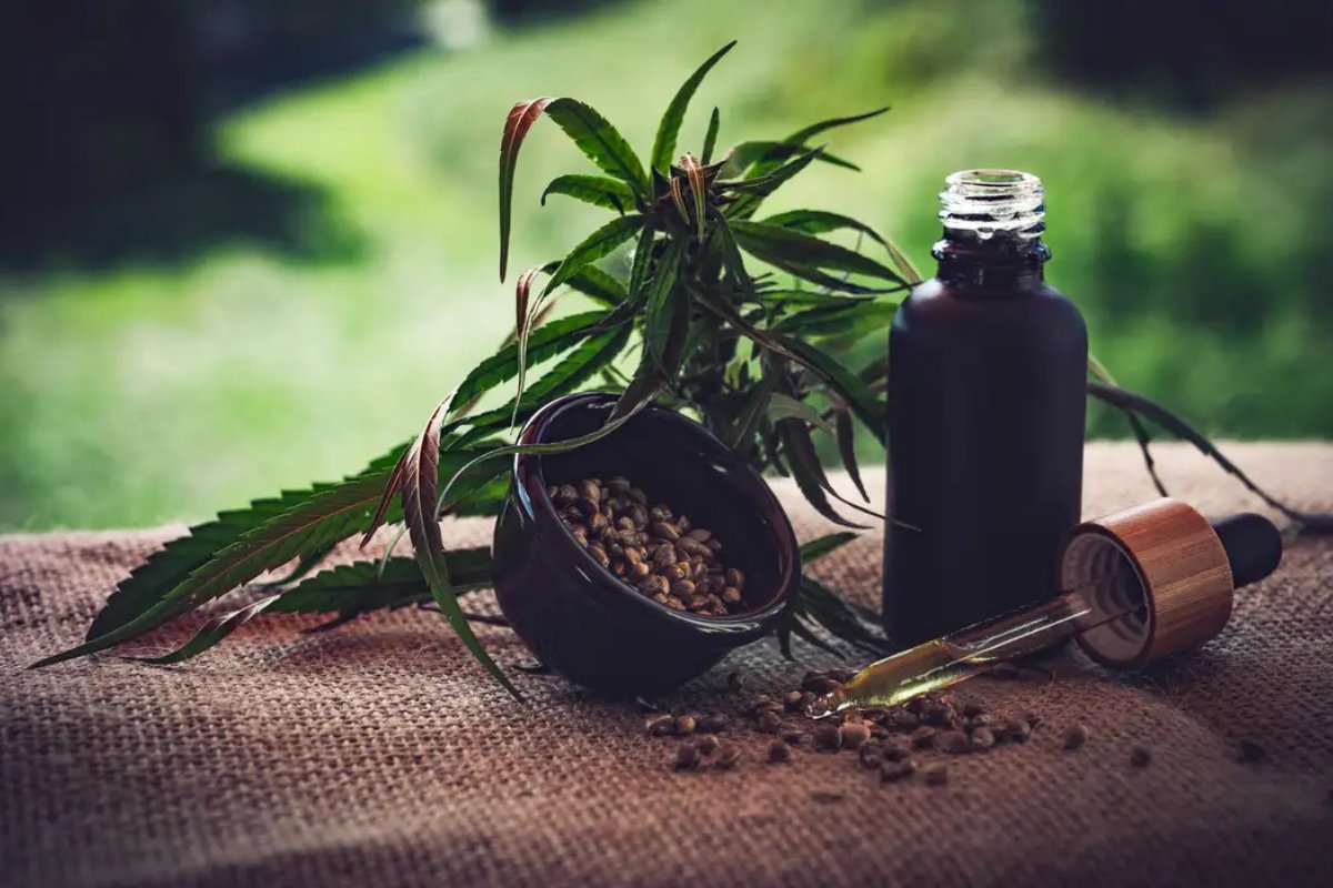 Anvisa simplifica prescrição médica de Cannabis e autoriza exportação