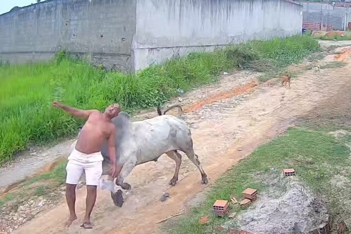 Vídeo: Homem fica ferido após levar cabeçada de boi em Pernambuco