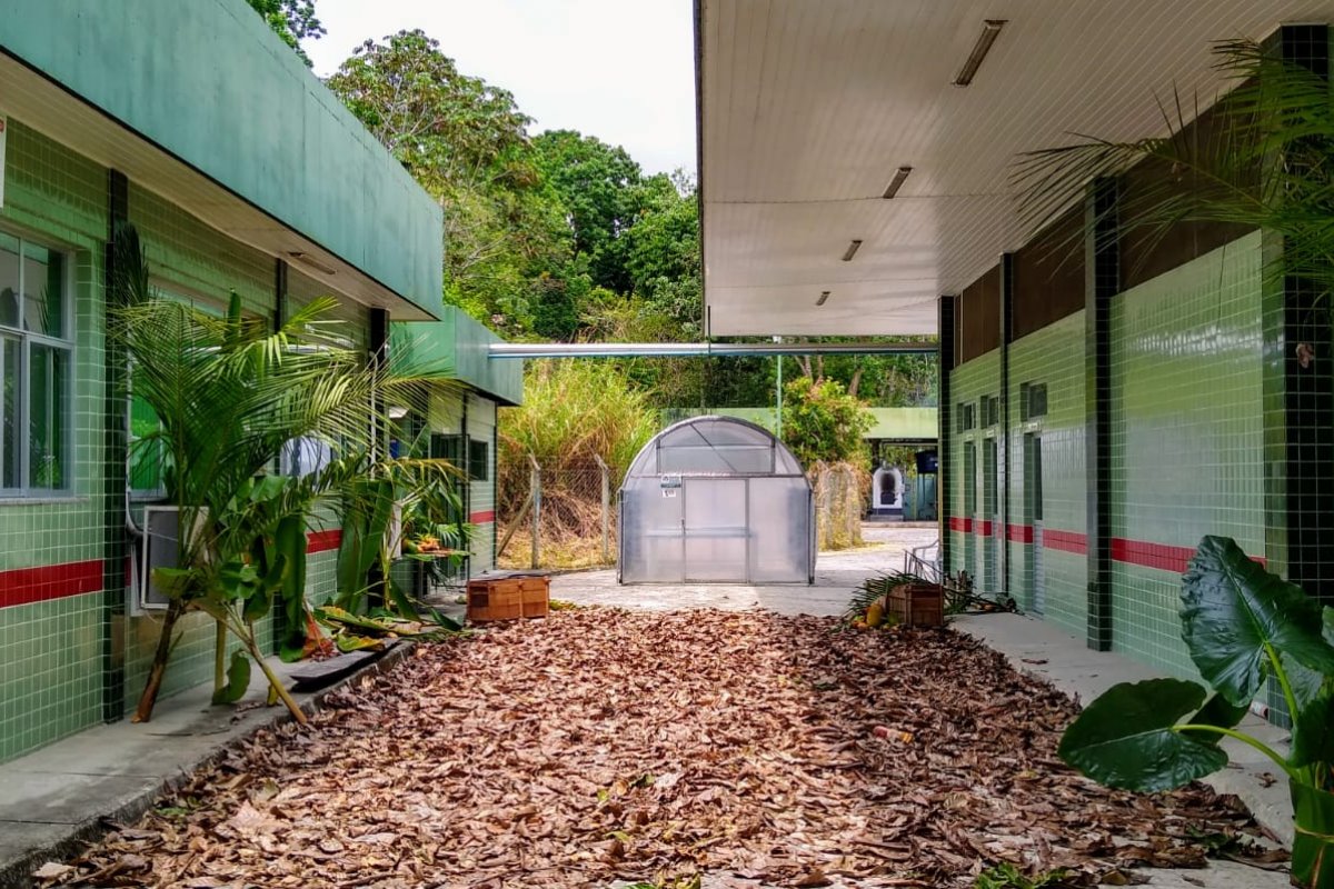 Com salários de até R$ 8,3 mil, IF Baiano abre processo seletivo para professor substituto
