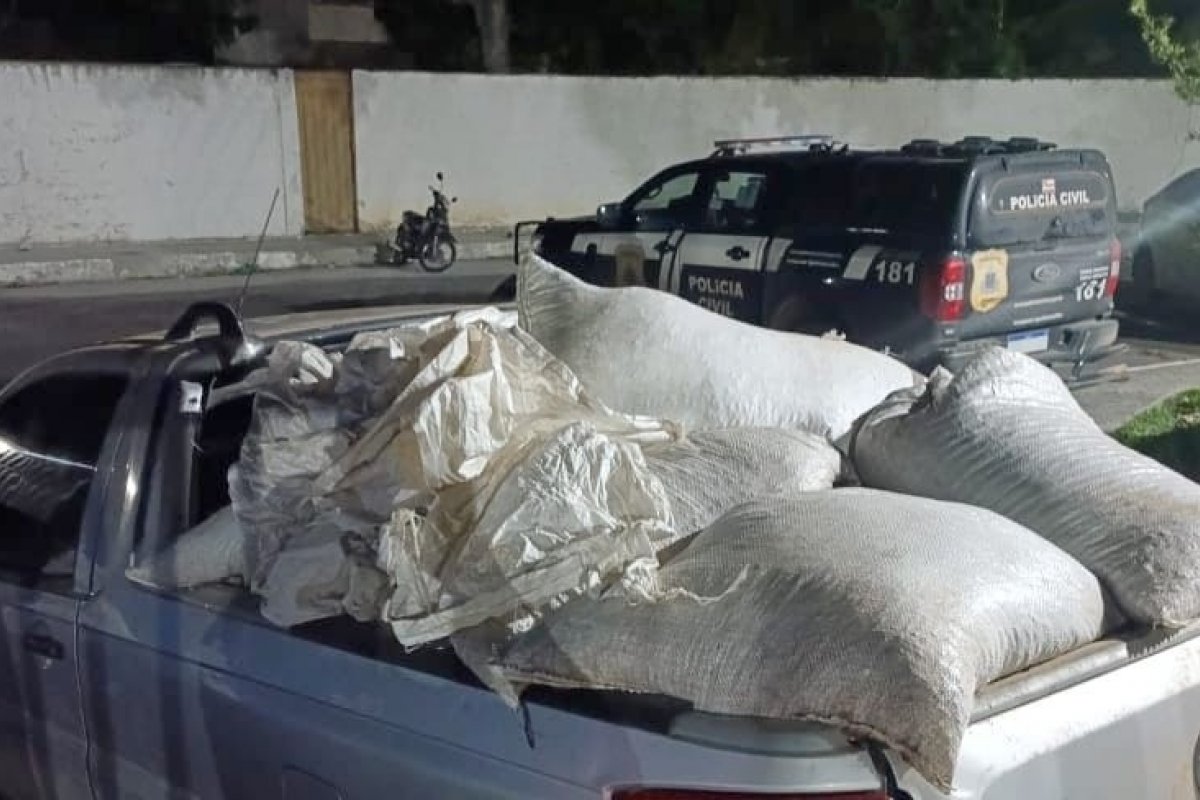 Polícia recupera carga de café furtada avaliada em R$ 50 mil na Bahia
