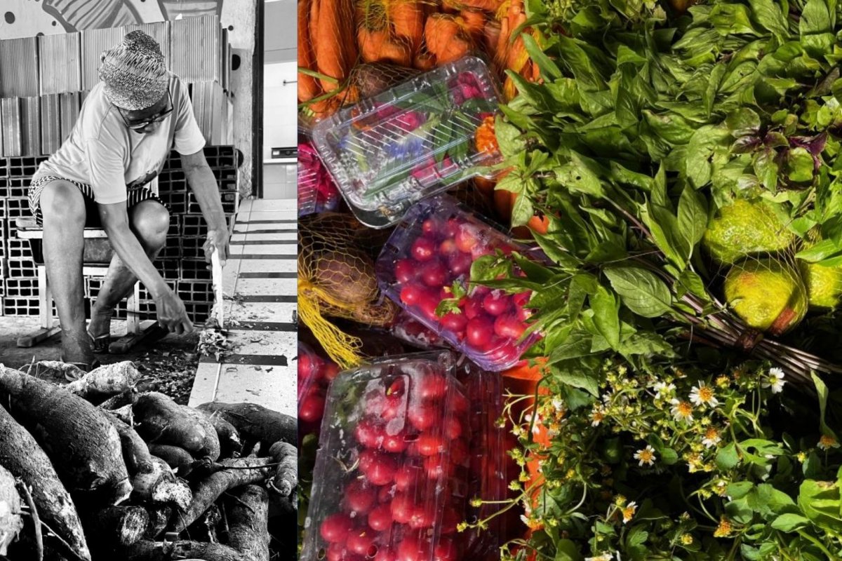 Encontro sobre pesquisas em gastronomia do Brasil ocorre em Salvador