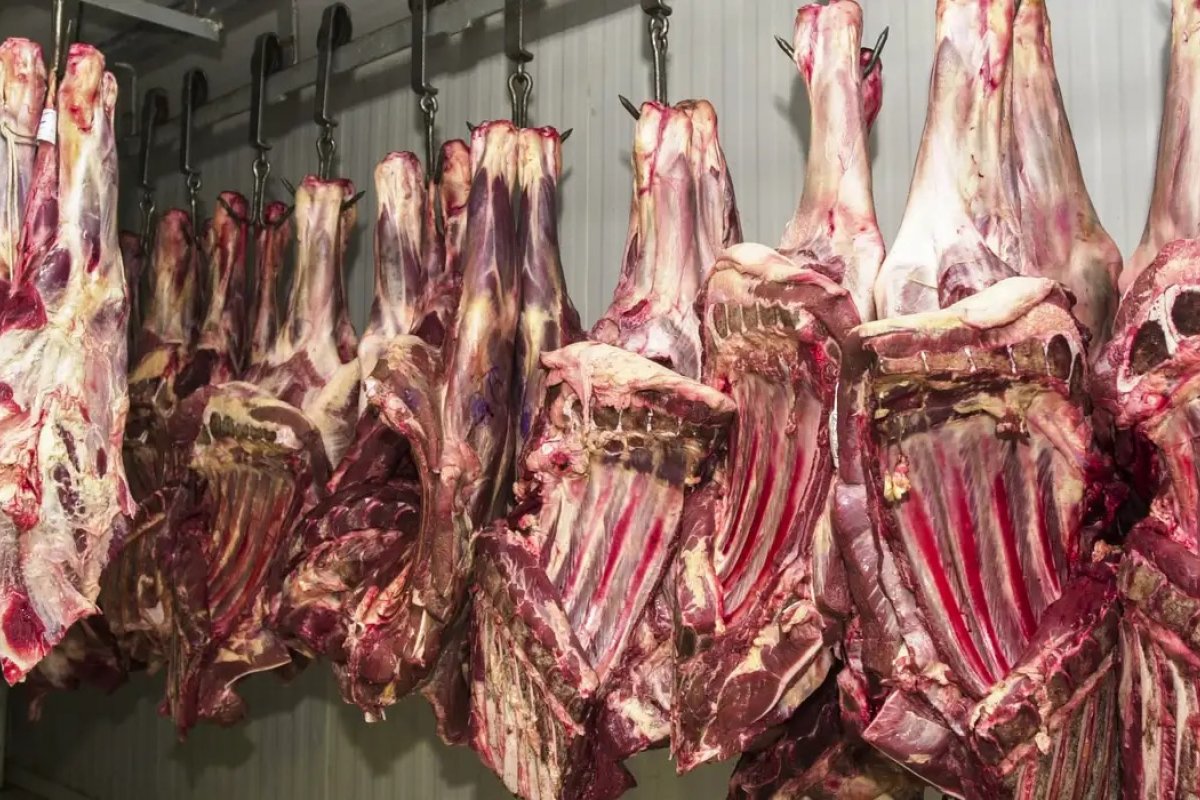 China suspende exportações de carne de três frigoríficos brasileiros