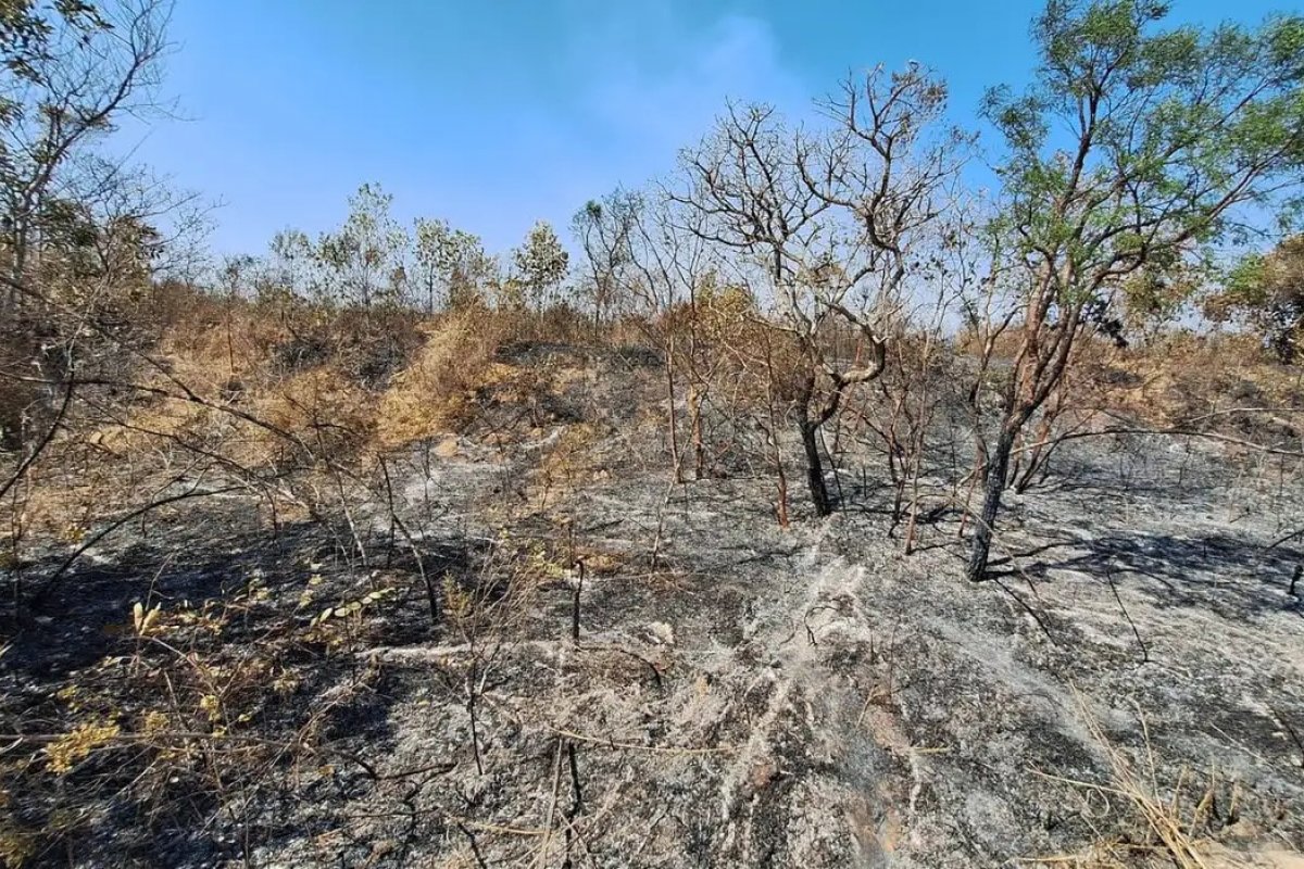 Mudanças climáticas já afetam 85% dos brasileiros, diz pesquisa