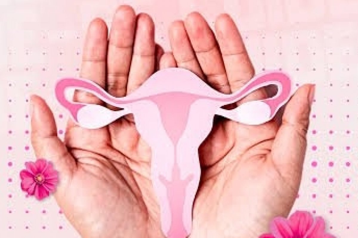 Questões físicas, emocionais e sociais ainda recebem pouca atenção no cuidado à mulher idosa, alertam profissionais! 