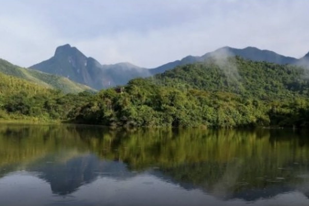 Bolsa de Ação Climática supera R$ 12 bi em ativos e tem como expectativa criação de crédito de carbono azul! 