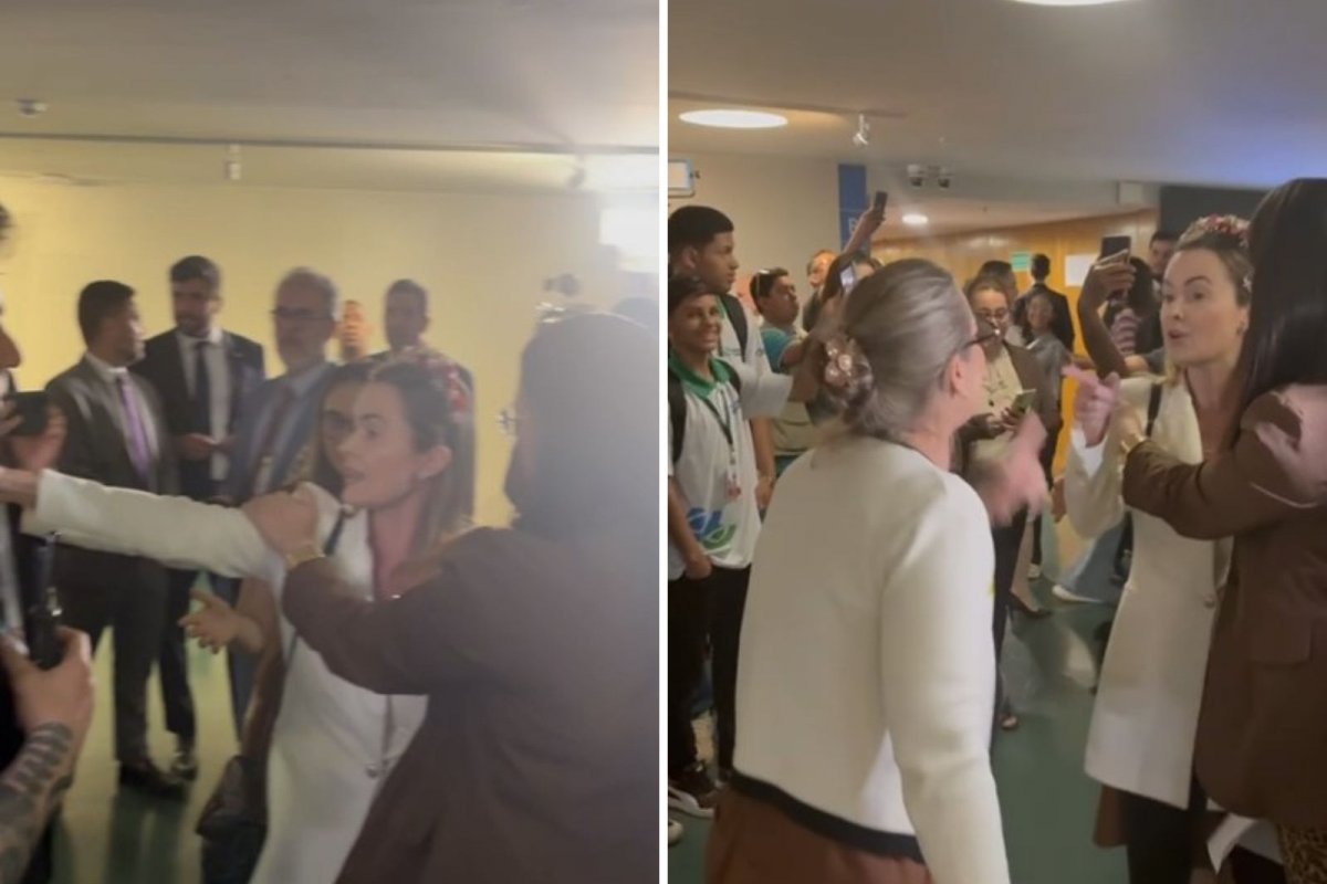 Vídeo: Mulher chama a deputada Julia Zanata de 'fascista" durante comissão especial da PEC 6x1