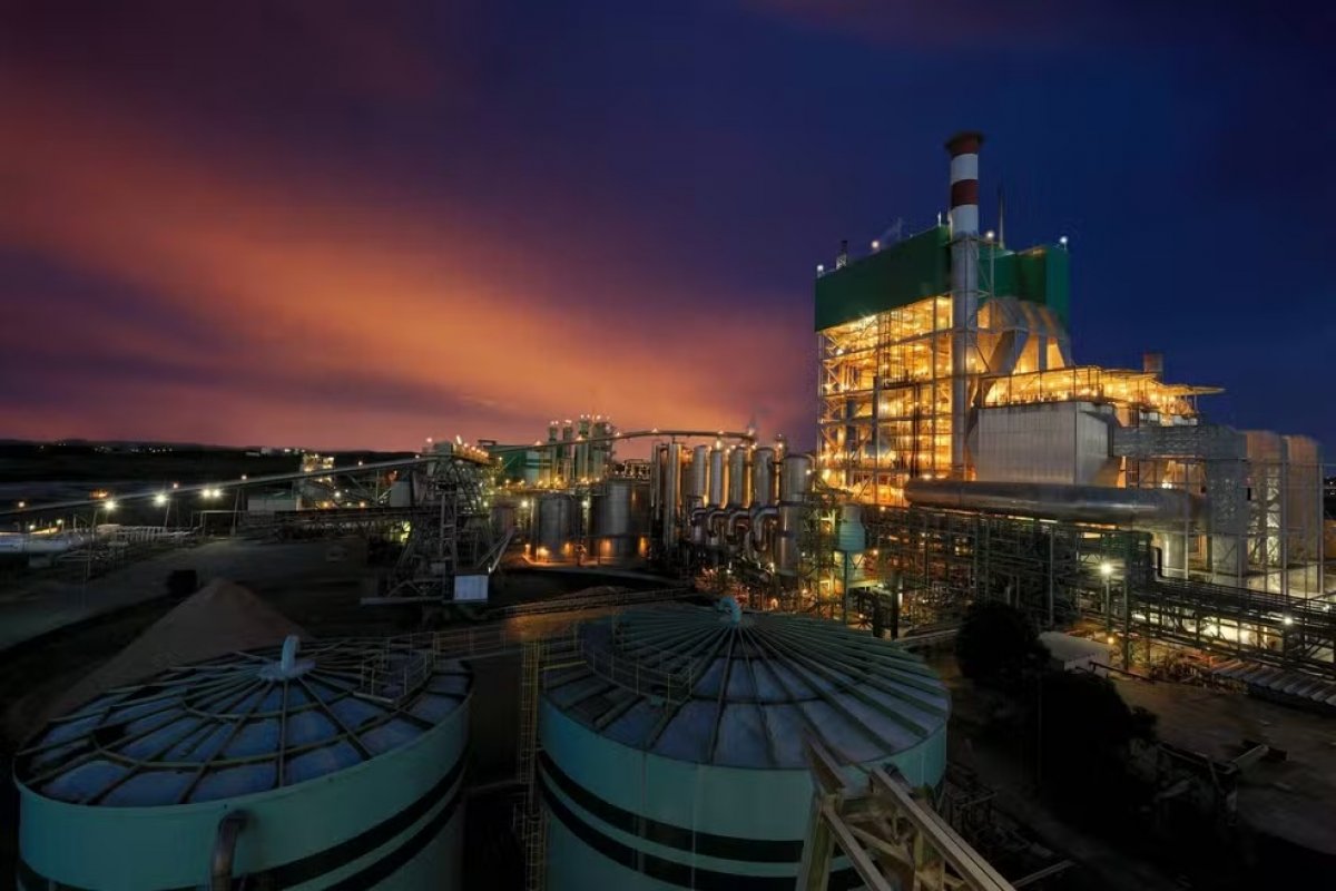Empresa de produção de celulose abre vagas de emprego em Alagoinhas e Camaçari
