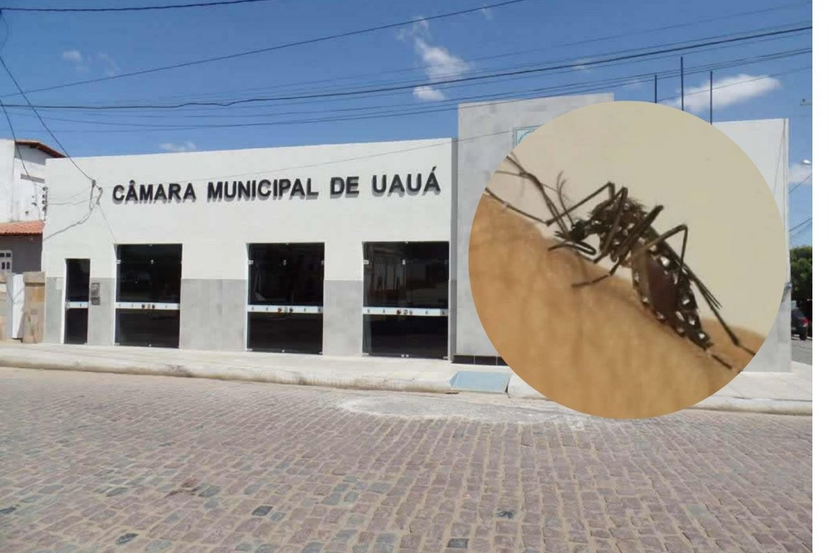 Prefeitura de Uauá cancela São João por conta de epidemia de dengue