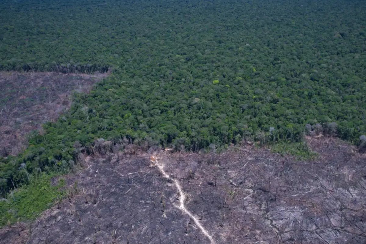 Fachin determina que governo apresente plano de desocupação da Terra Indígena, no Pará