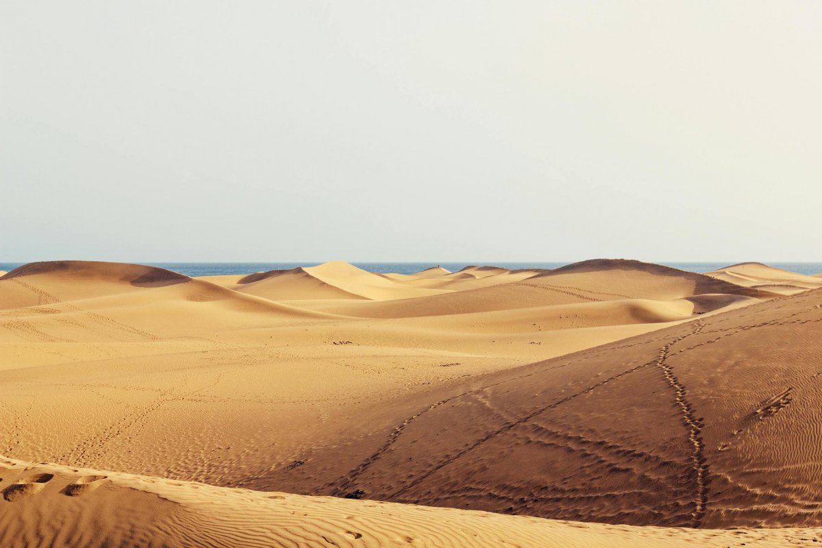 Caminhão quebra no deserto do Saara e 49 morrem de sede