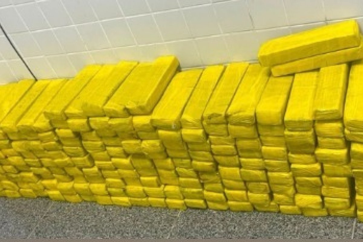 Polícia apreende 187 tabletes de maconha dentro de freezer em Feira de Santana