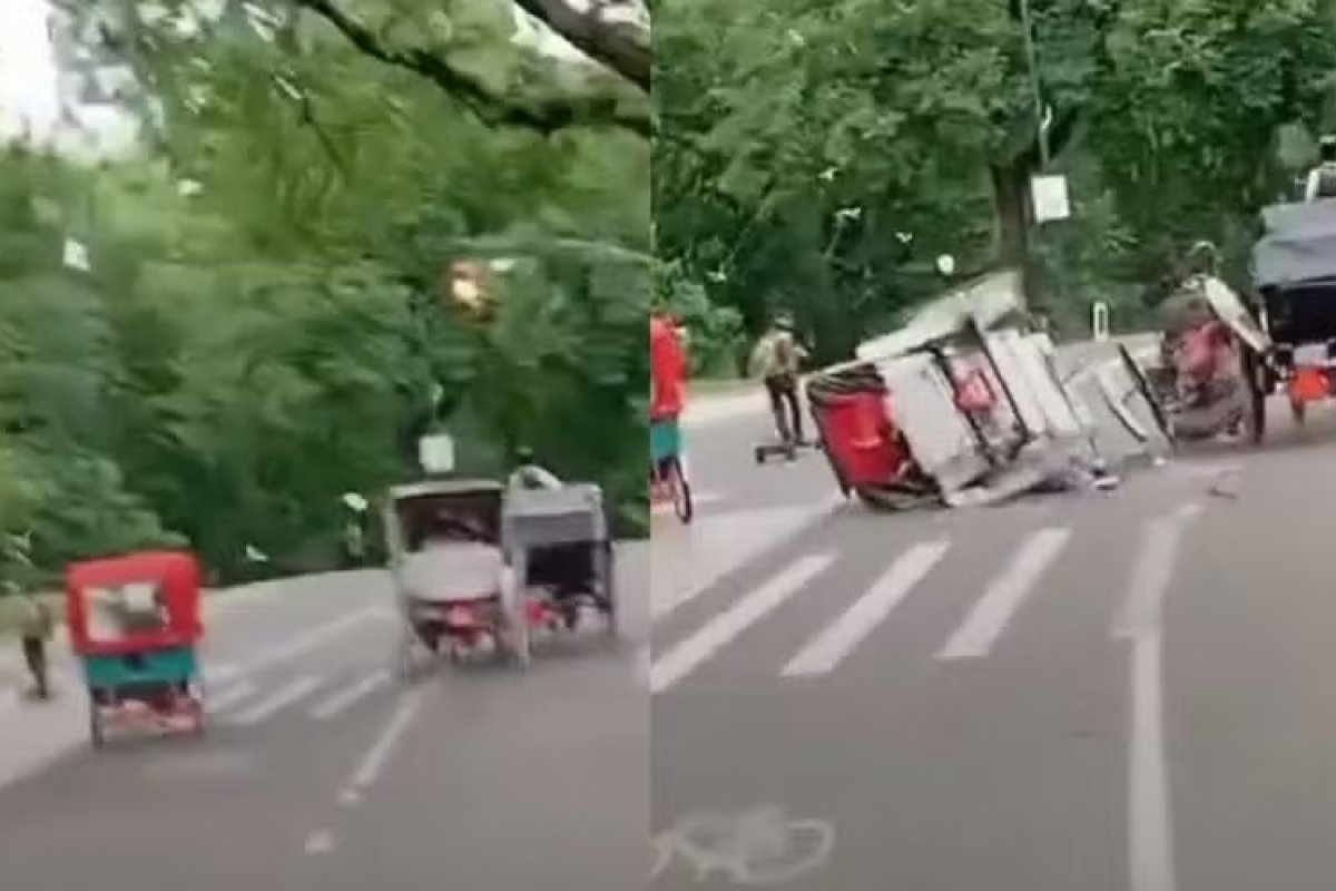 Vídeo: Turista indiano morre ao ser arremessado de charrete durante passeio no Central Park, em Nova York 